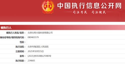 比特大陸新增被執(zhí)行人信息 執(zhí)行標(biāo)的超23萬(wàn)元，牽涉計(jì)算機(jī)軟硬件技術(shù)開發(fā)