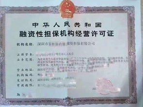 專業公司注冊代理與融資租賃、商業保理服務的核心價值